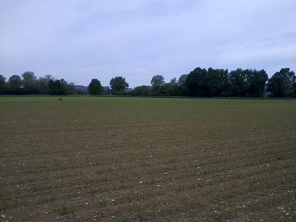 med_Auslauf.jpg (600 x 450)